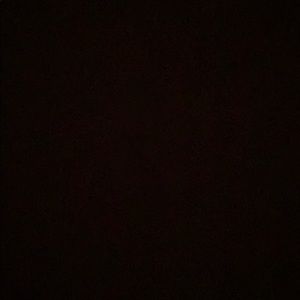 Meet your Posher, Sammy